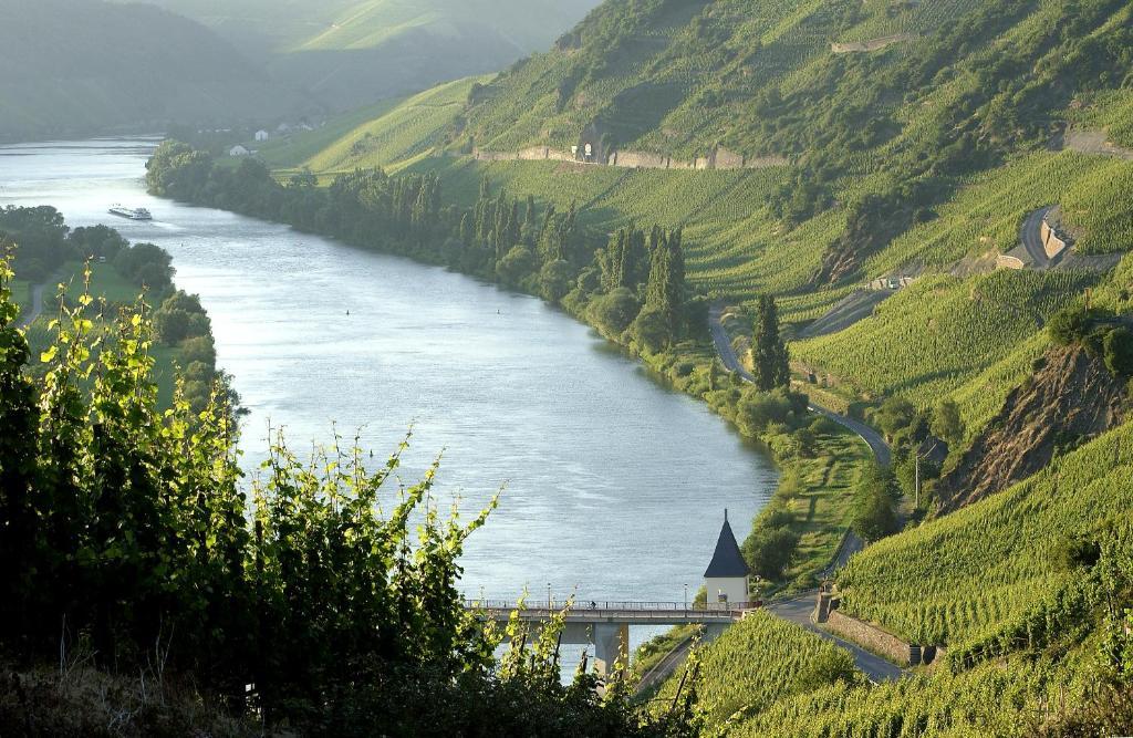 Ernst Cluesserath Weingut & Weinhotelchen Trittenheim Exterior foto